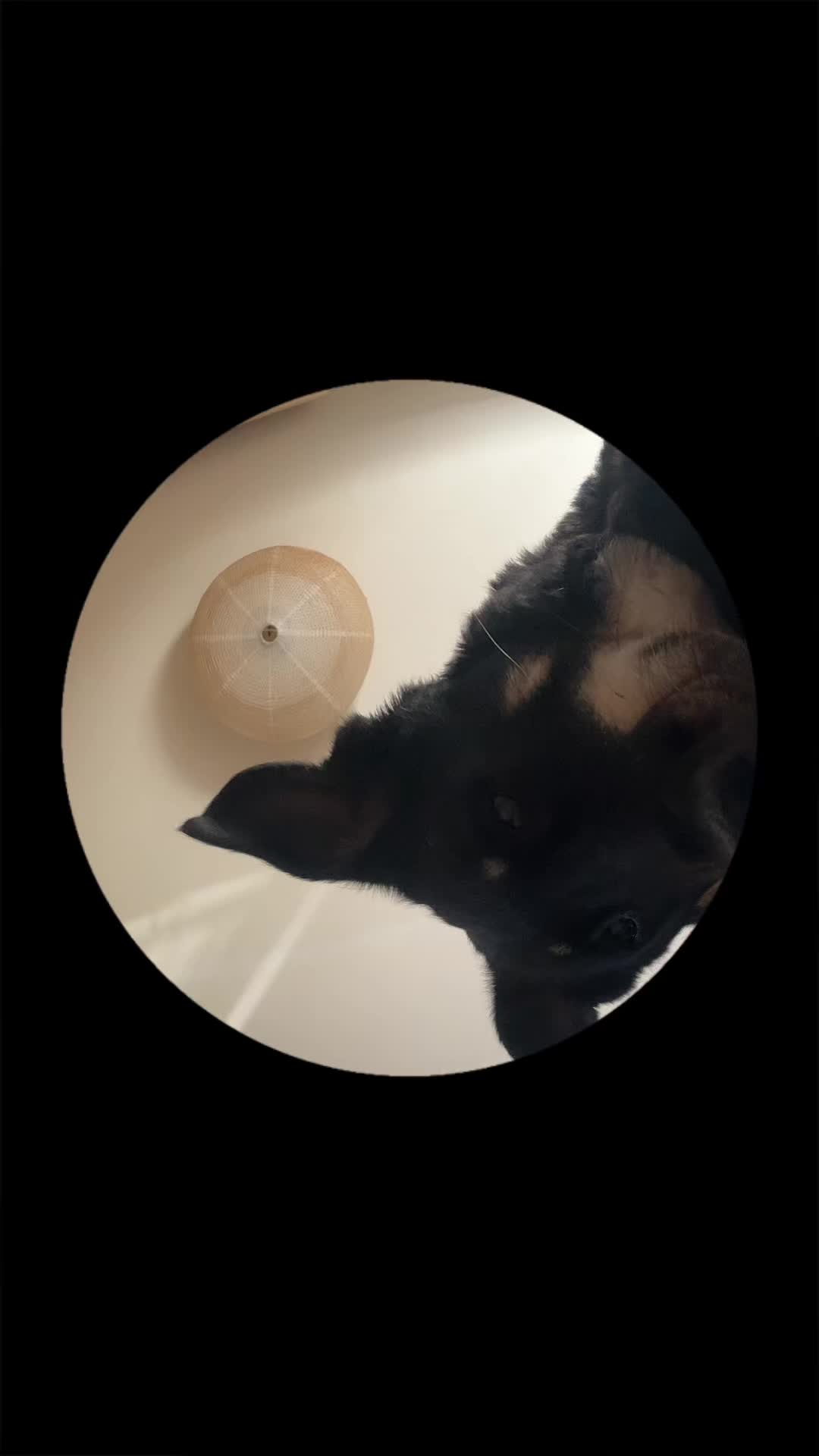 @🖤MANU🥀