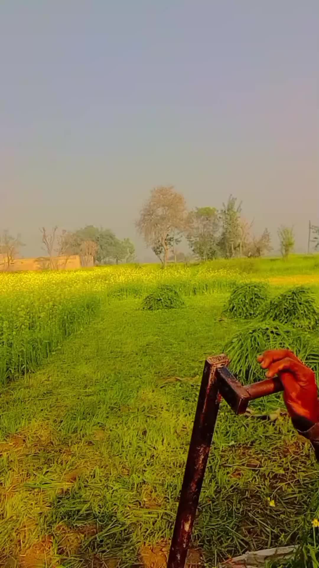 @Ch Qadeer Hanjra