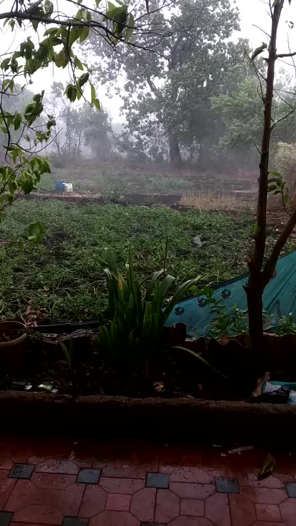 @king_of_bhiwandi
