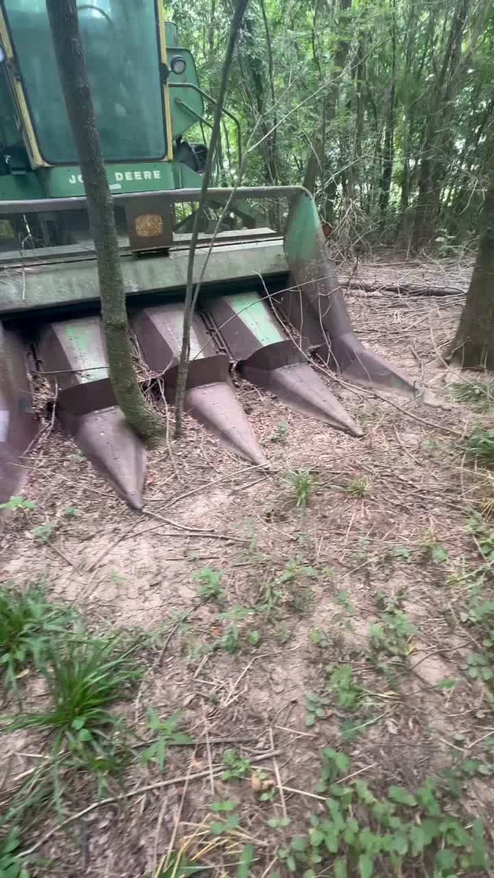 @Rockhill Farm YouTube