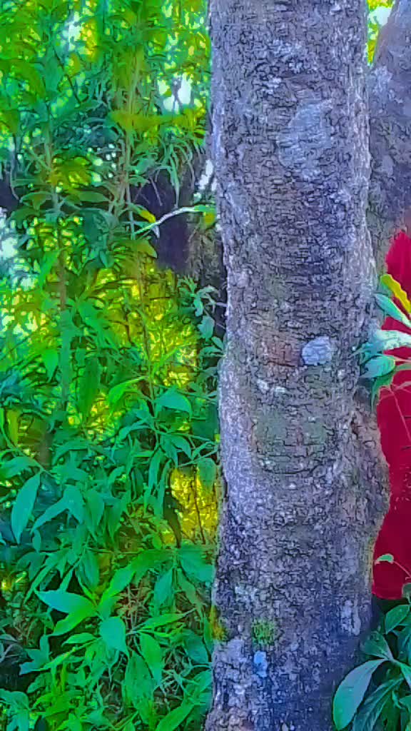 @subhamm vai