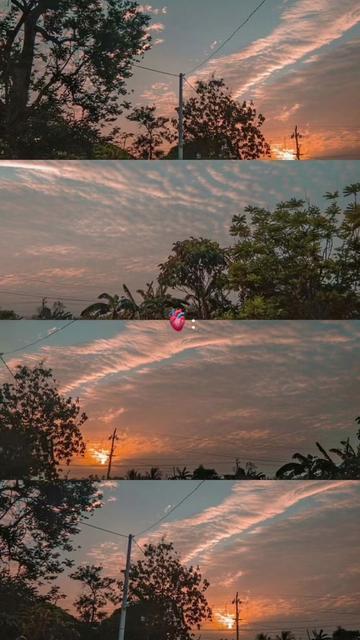 @Aesthetically~🎀