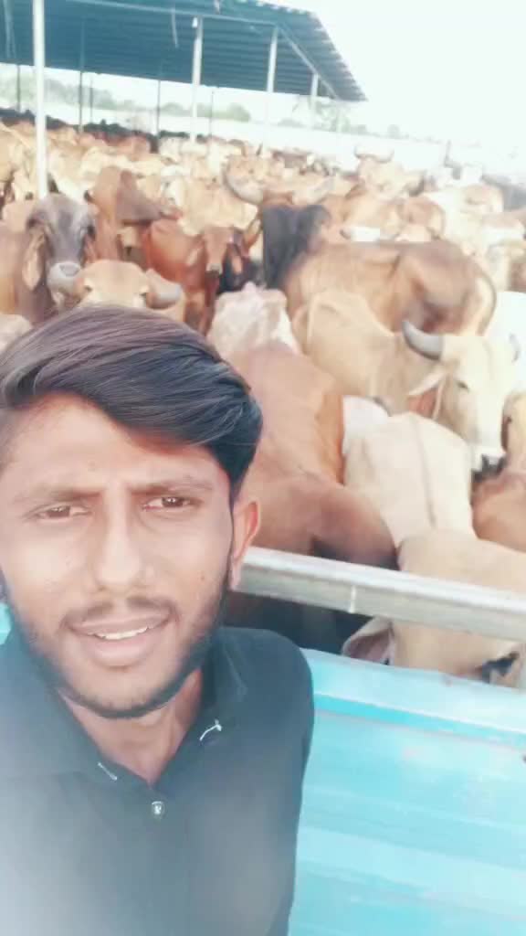 @Chirag Padsala