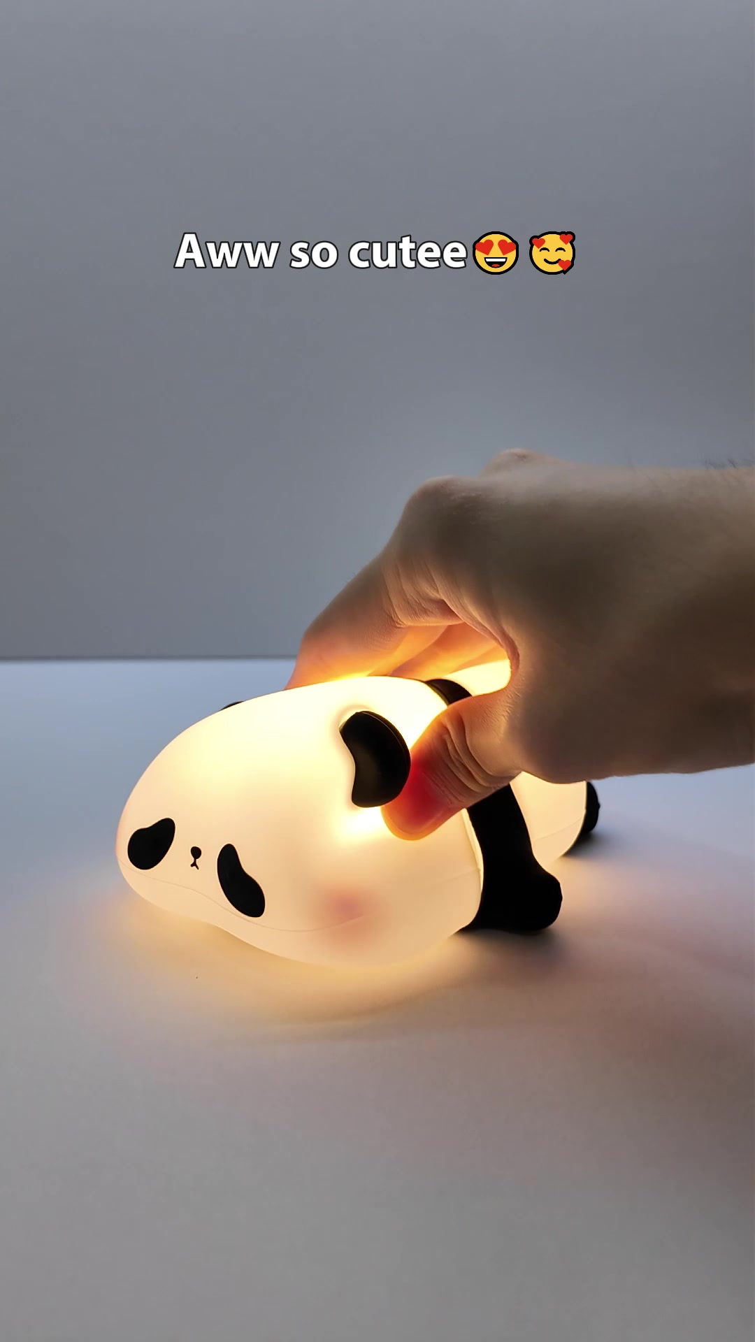 @BunnyLightCo.