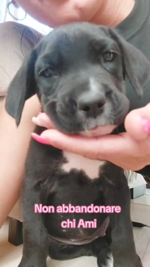 @Marisa Principato