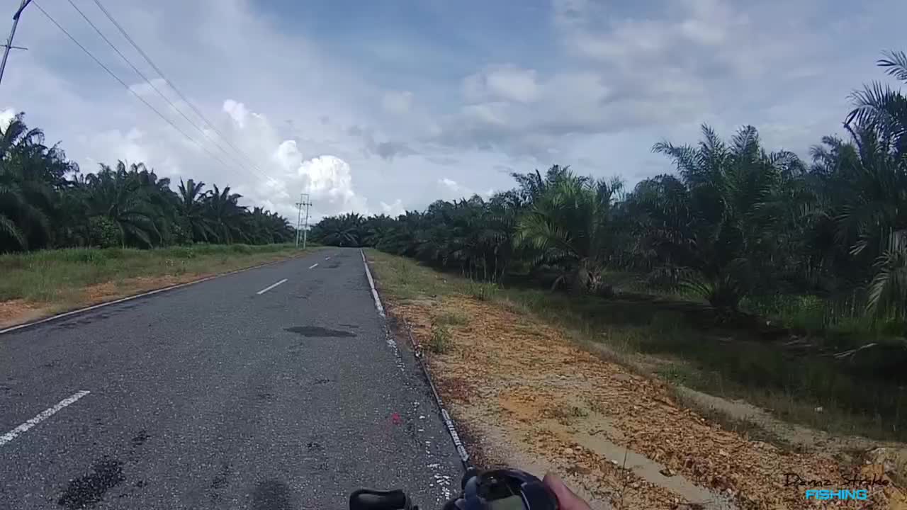 @Damz Strike Fishing