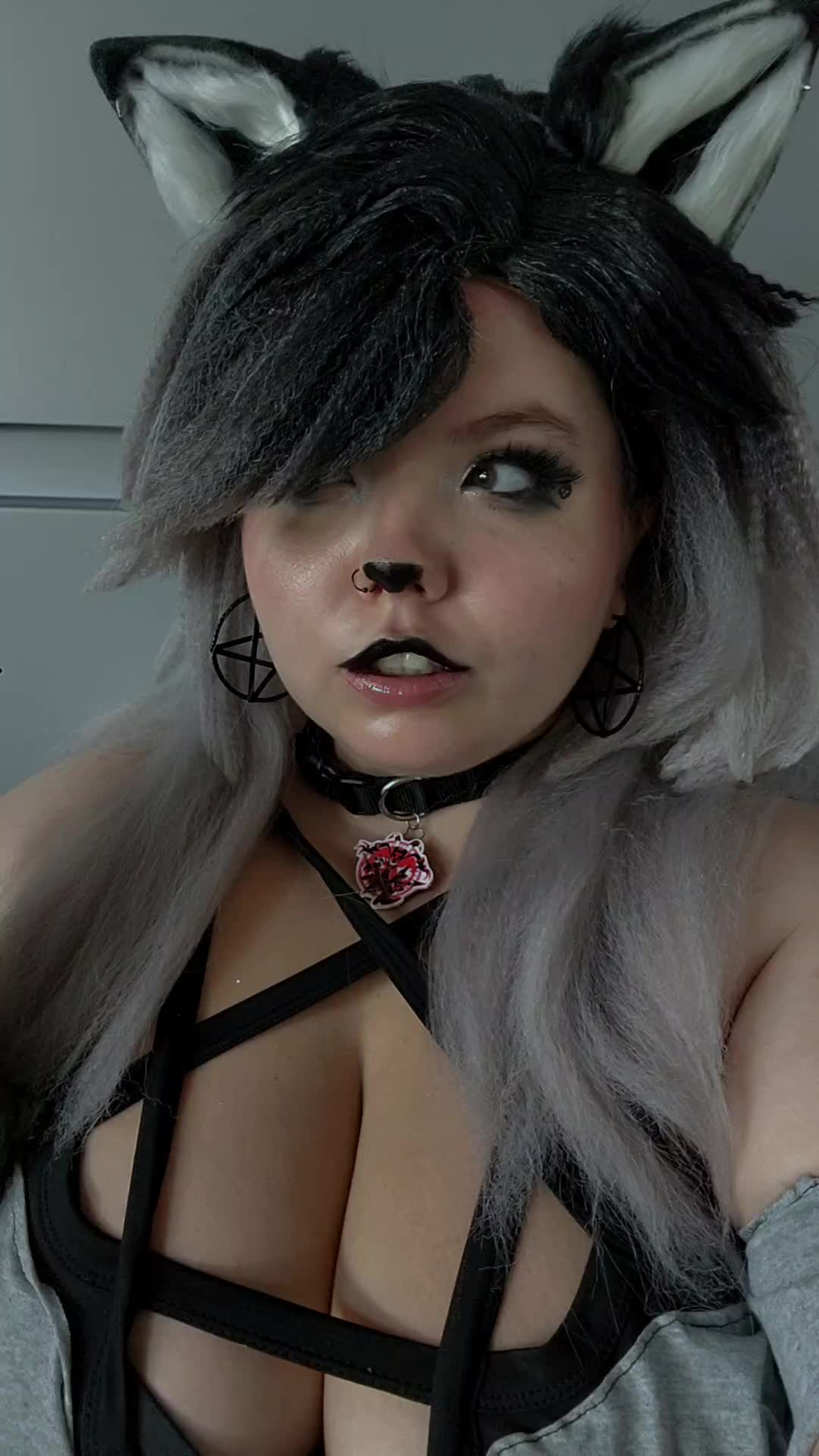 @Lil_Fox_Kit