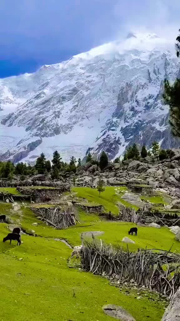 @Islam ki Shahzadi
