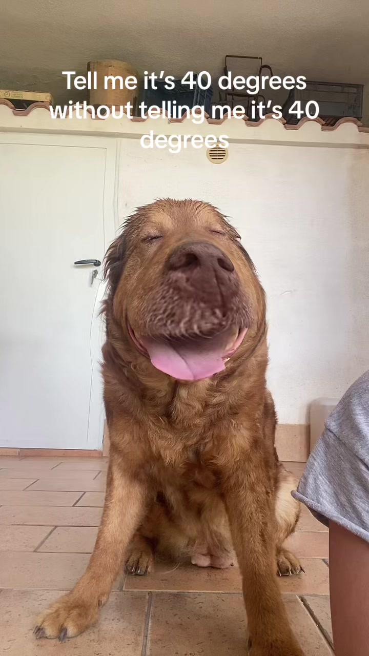 @whoisdangerous