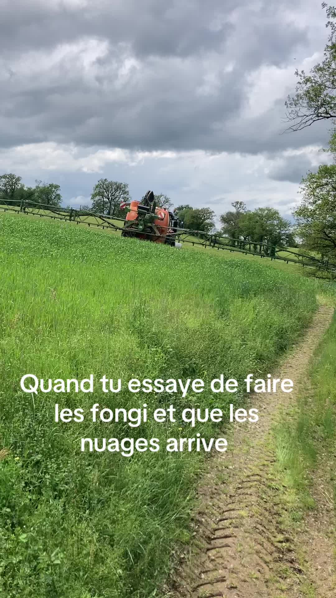 @Mikaeltamalet12220