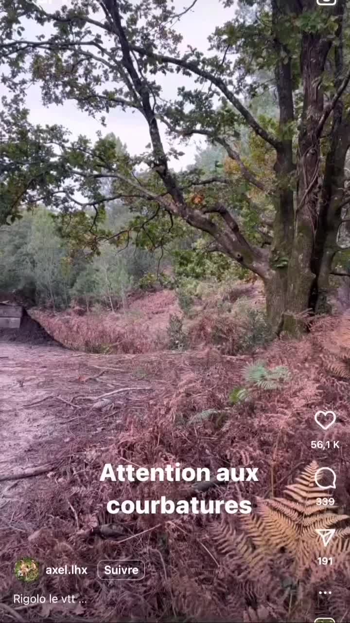 @🇲🇦🇫🇷🇪🇸