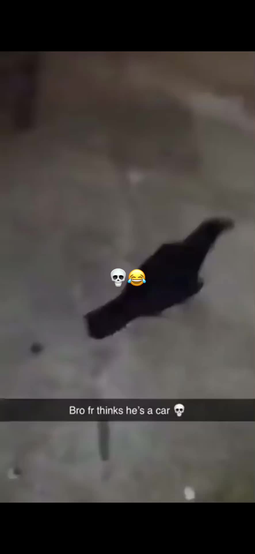 @DBLegends