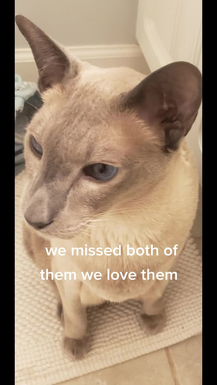 @Danica Gomez