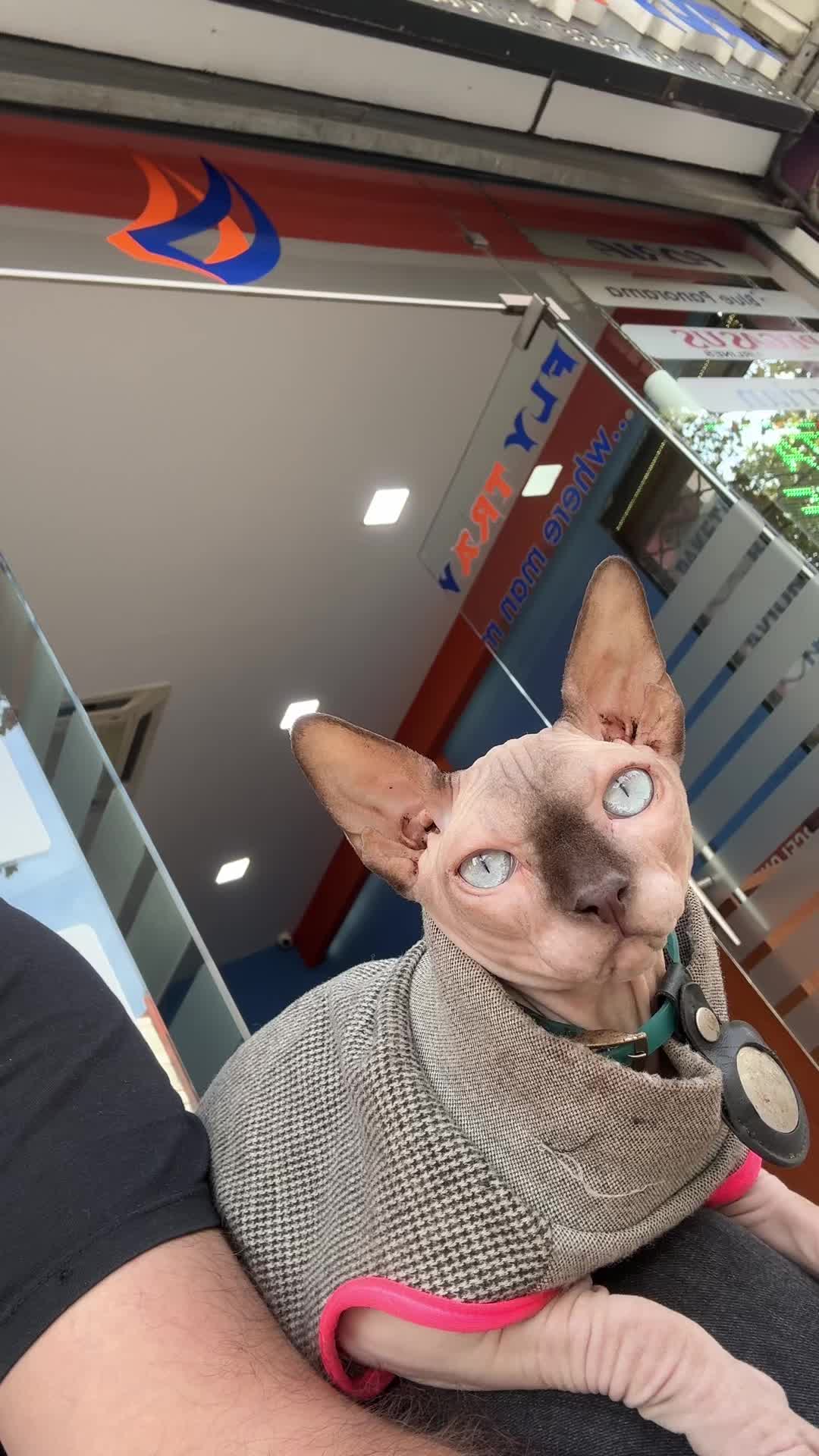 @lord.hugo