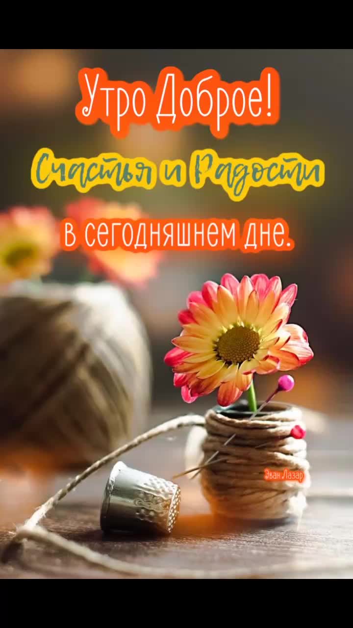 @Irinka💐