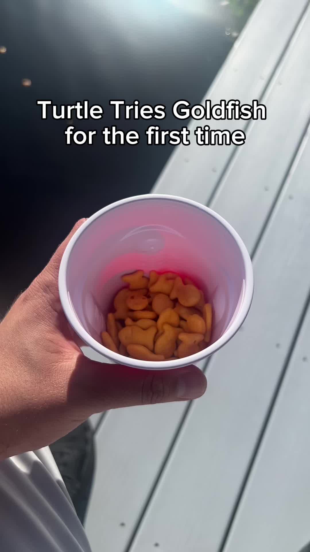 @OviG2000
