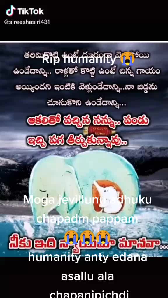 @sandhya