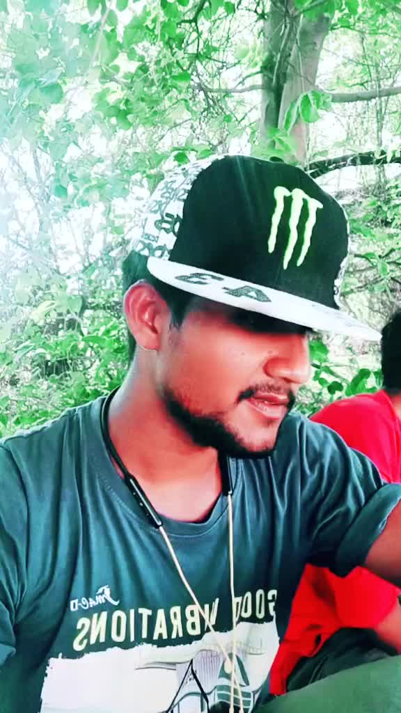 @bunny