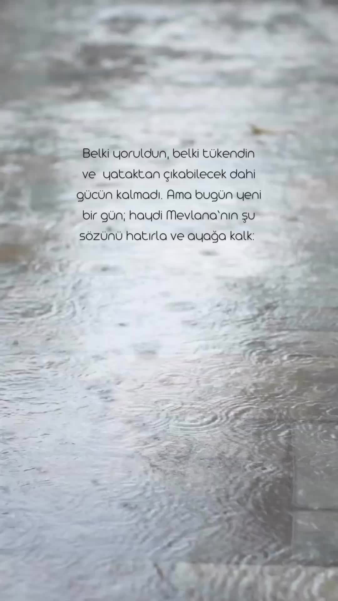 @Caner &Ouml;zt&uuml;rk