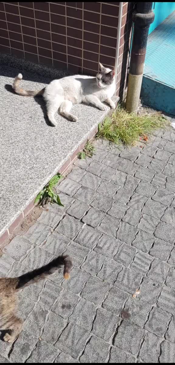 @Gizem G&uuml;l