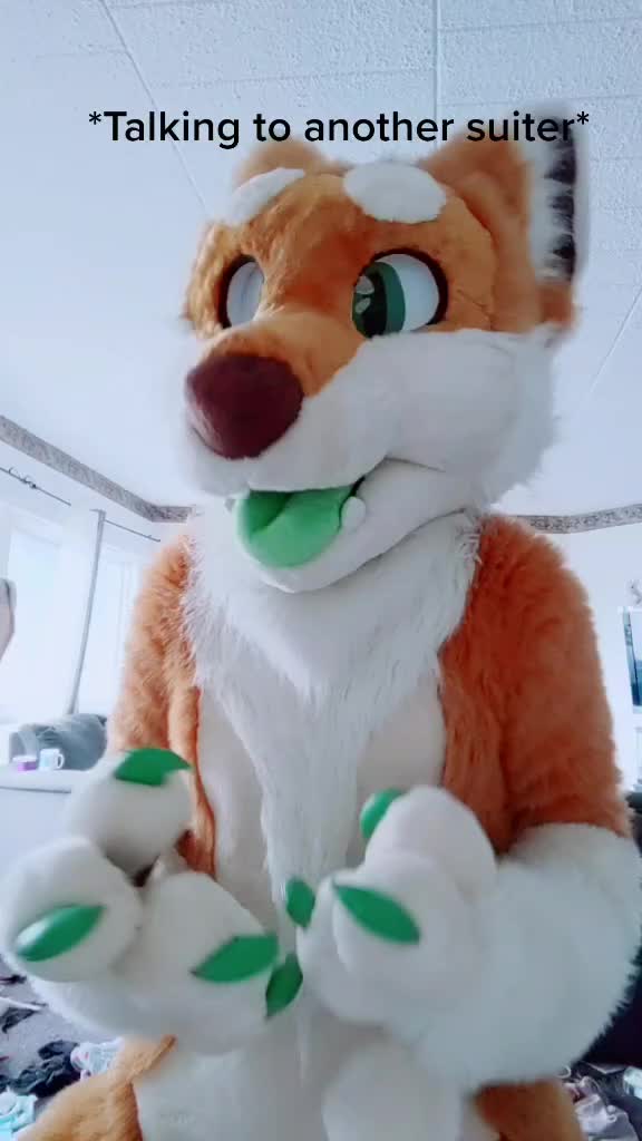 @CookieShiba