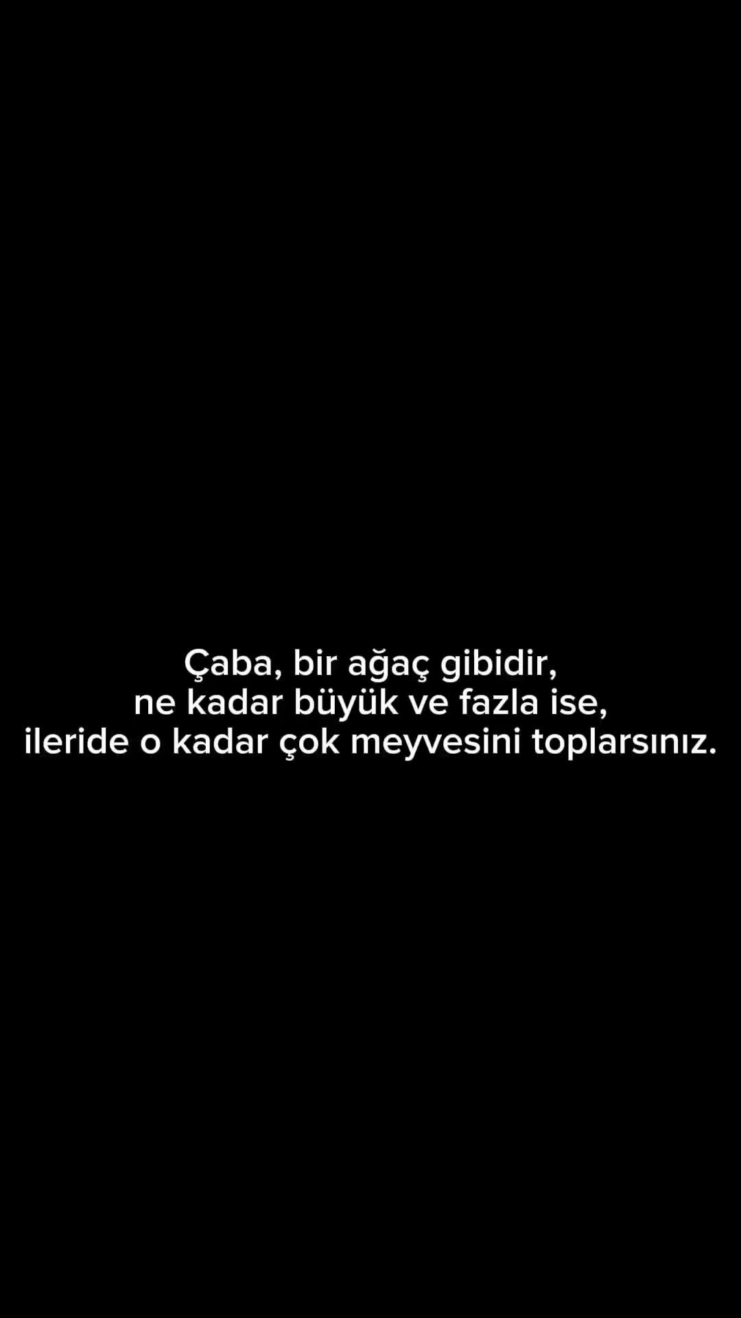 @illegalstory1🦅