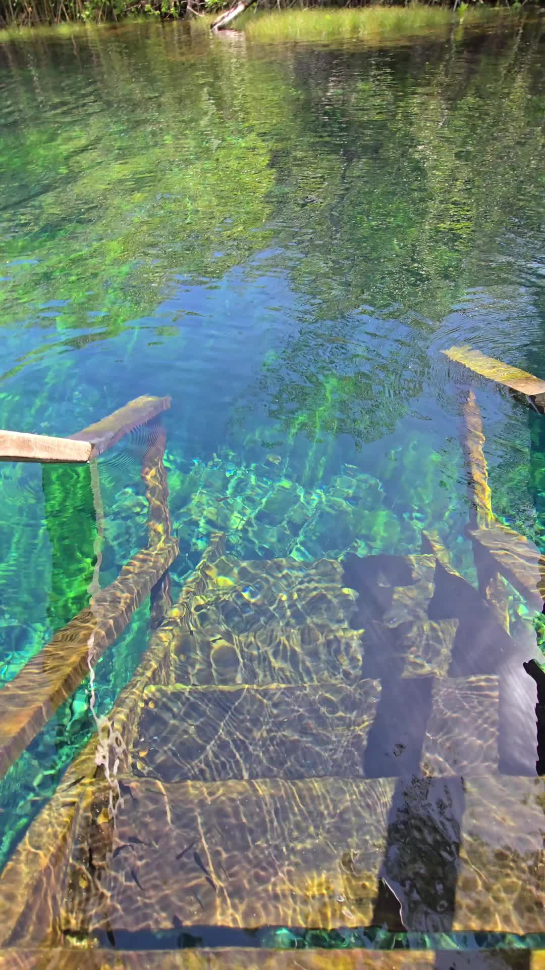 @akumal mayan vip tours