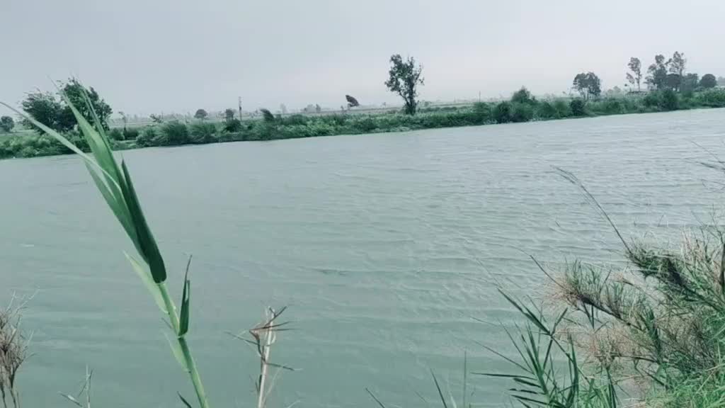 @varinder lahoria