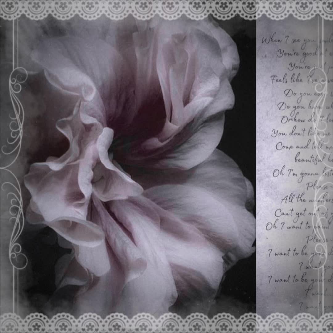 @loaf。⋆୨୧˚
