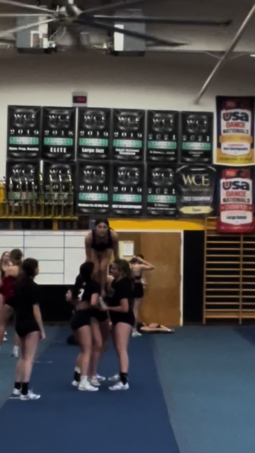 @NPHS Panthers Stunt ๐๐ค๐๐พ