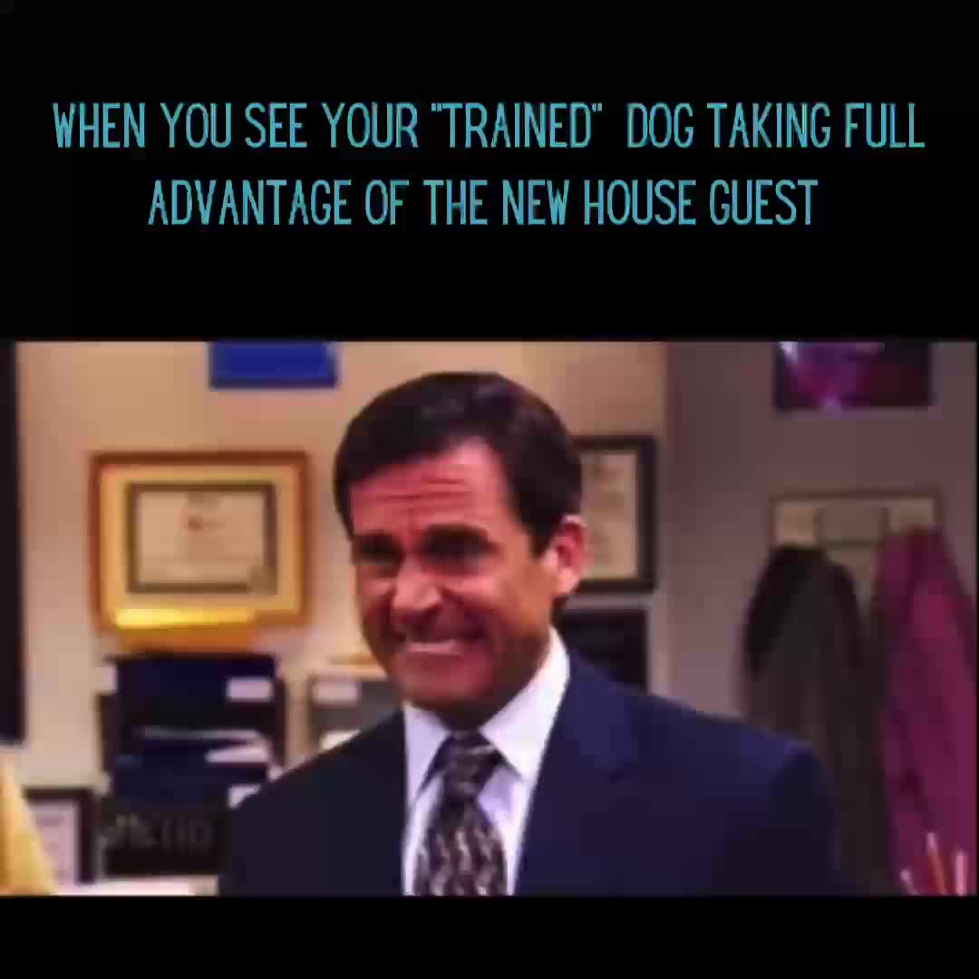 @Koba’s Four Paws Institute
