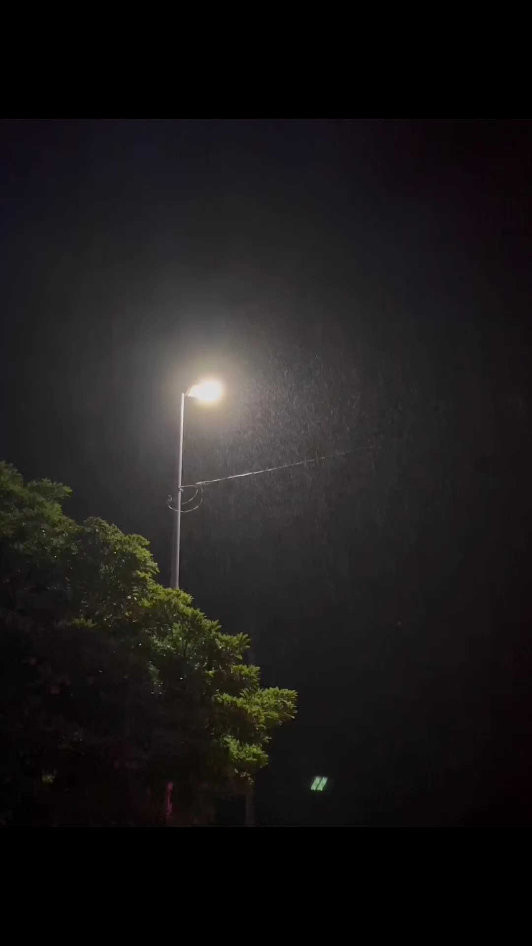 @︎︎