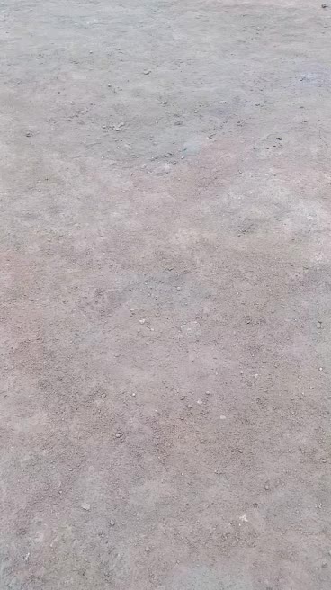 @Sunilmgrr