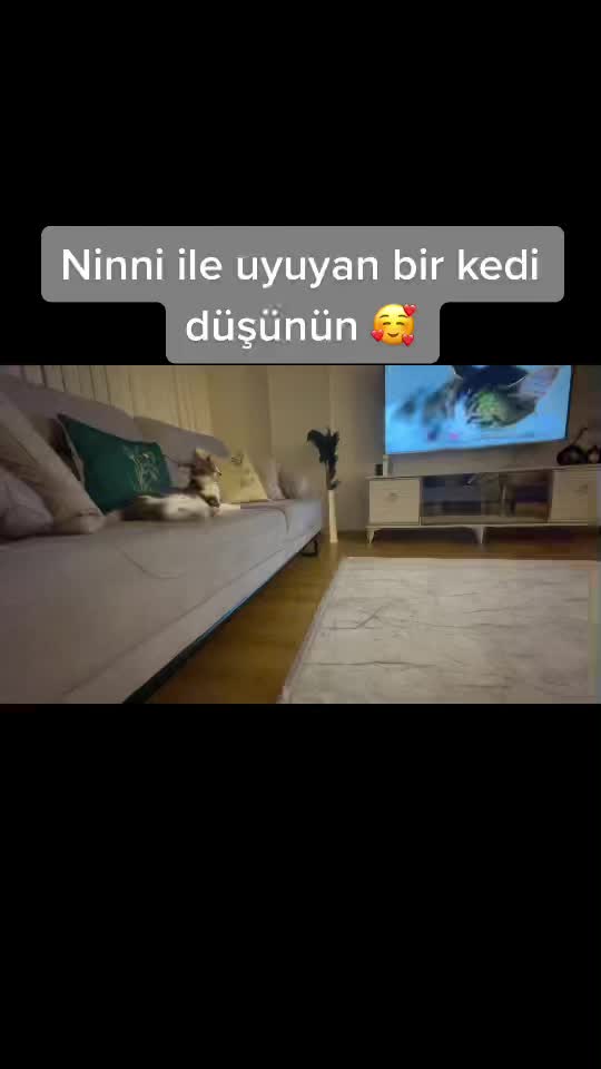 @Thinkiminki