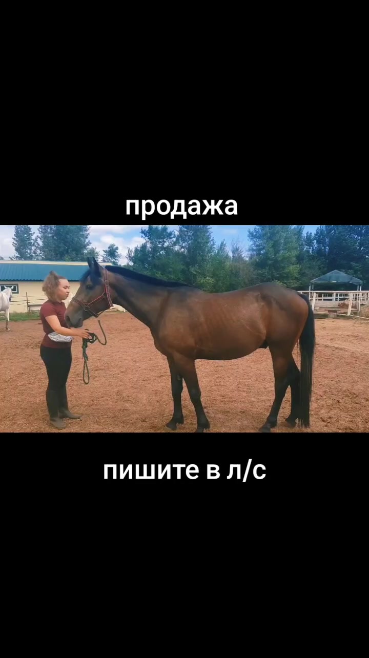 @Александр Червяков