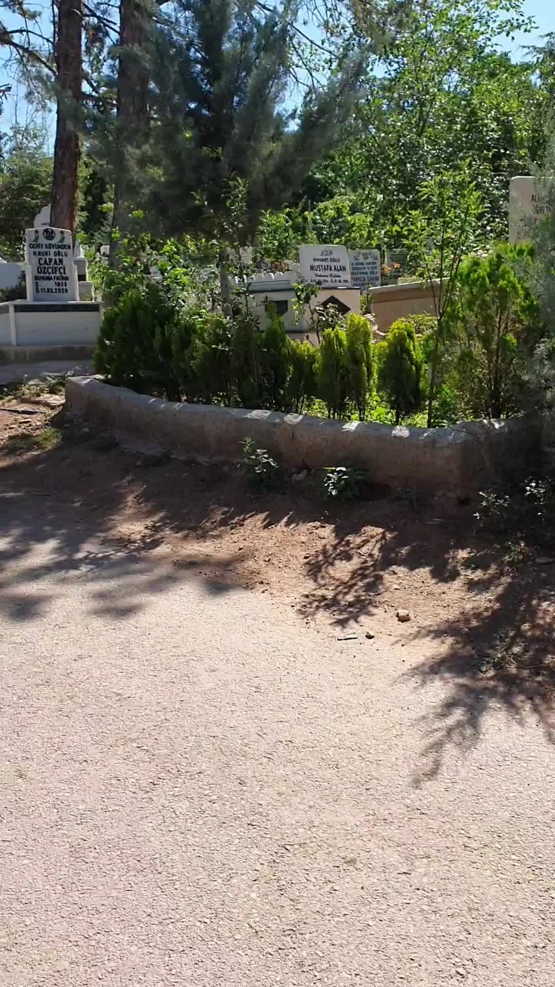 @Yaşar Eren