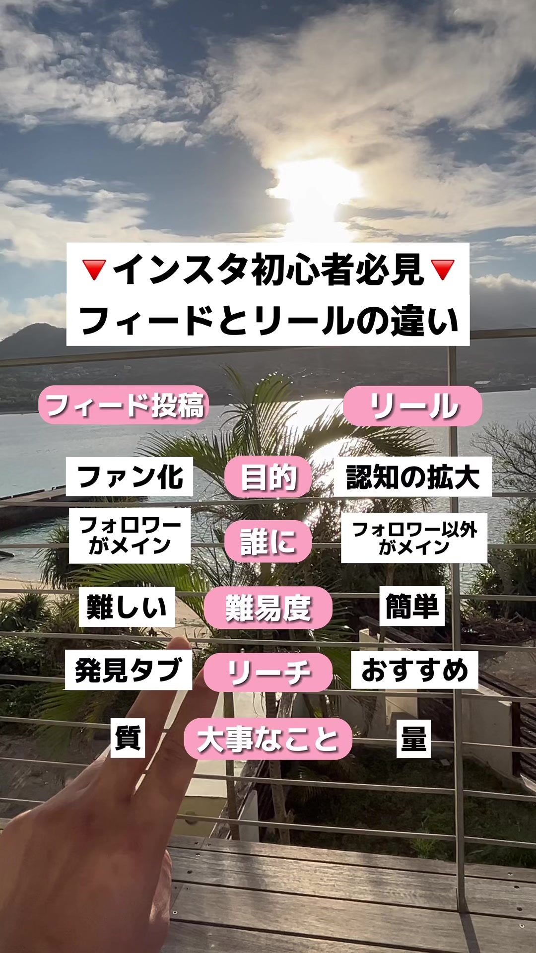 @桃太郎｜インスタ1.2億