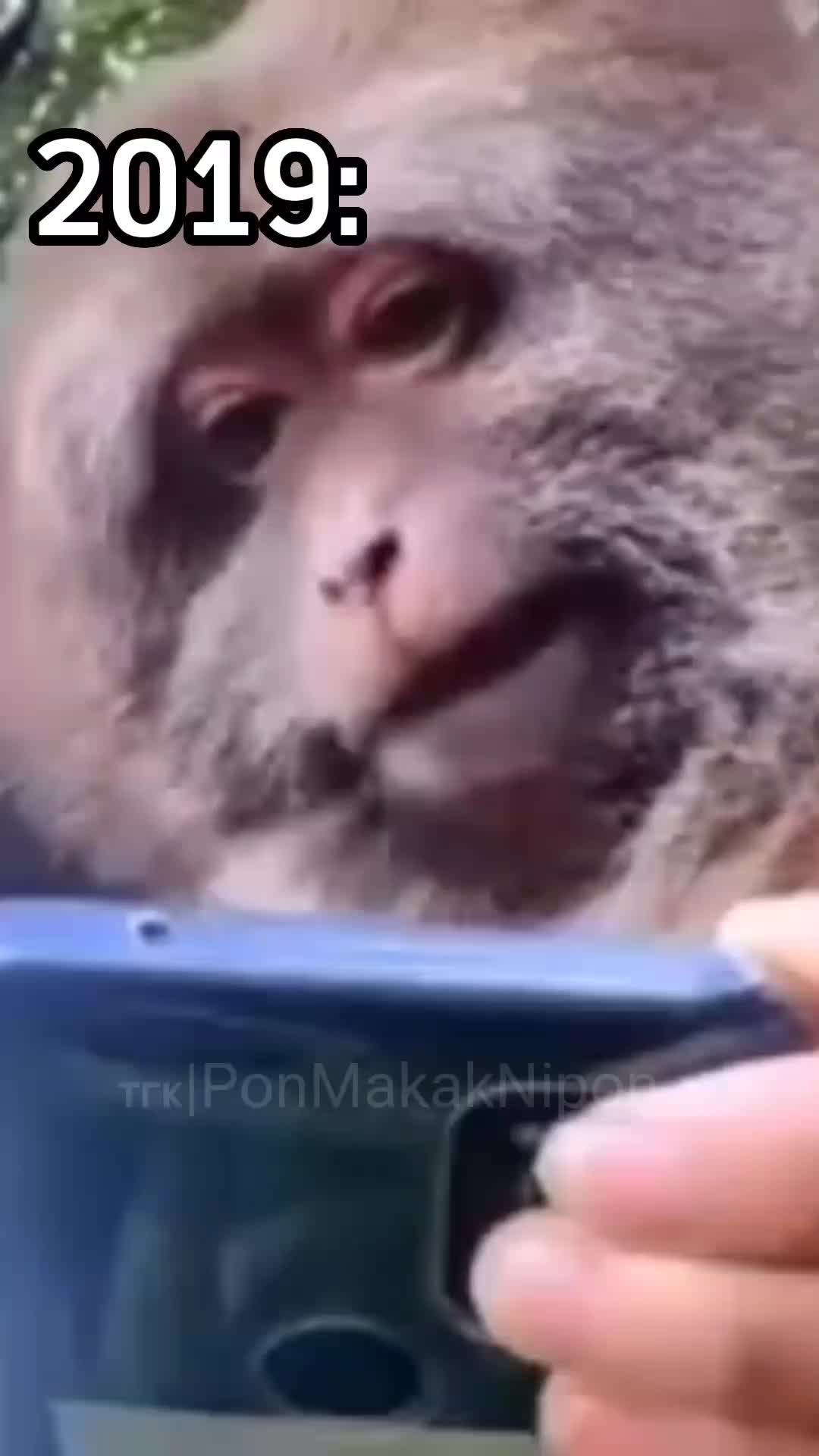 @GifkiCmakakami