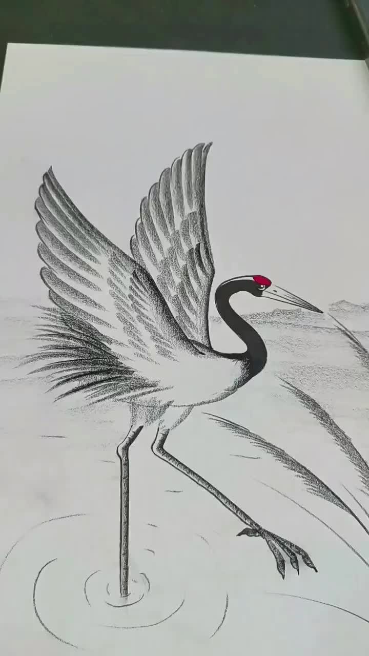 @blanche3121