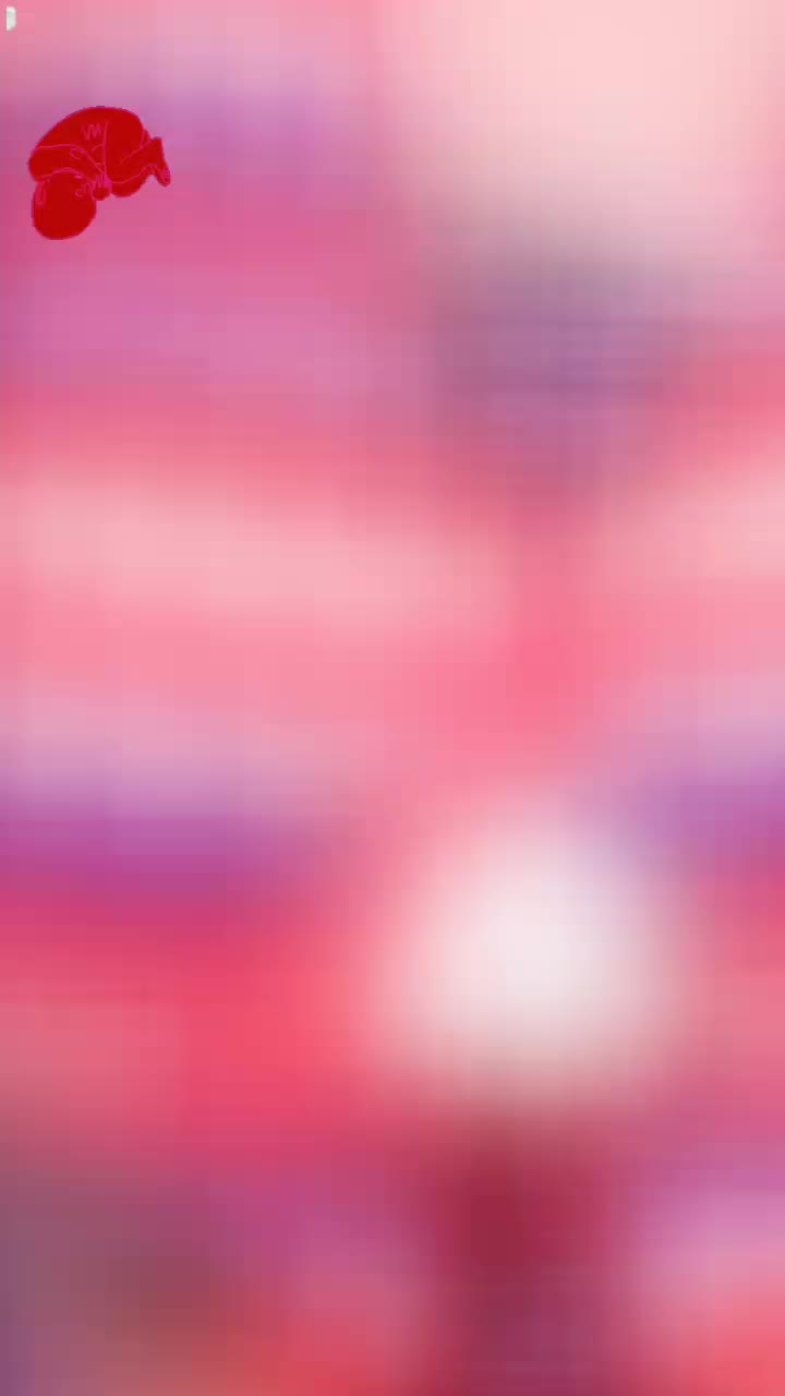 @P i T T U