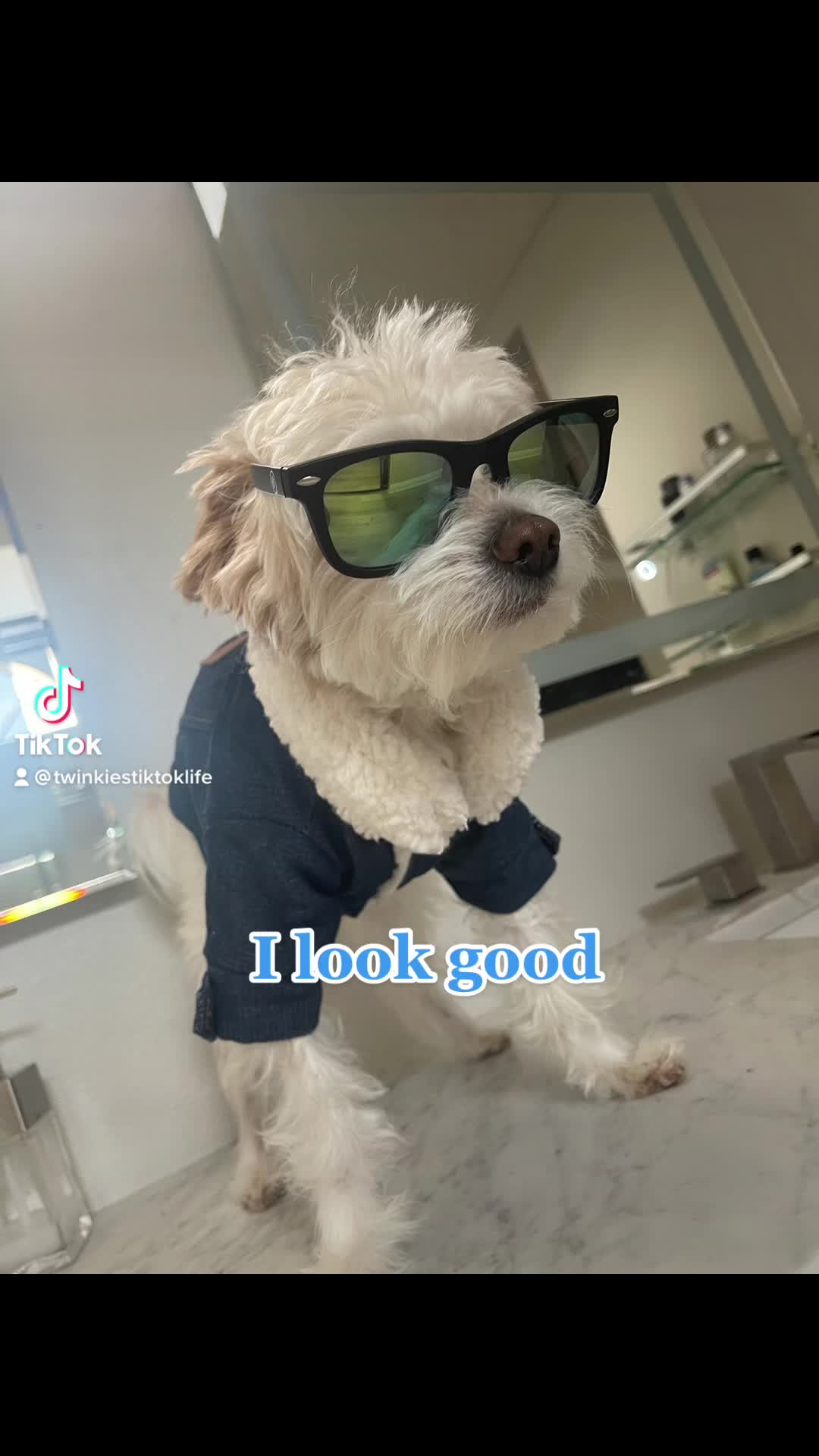 @Twinkies TikTok life