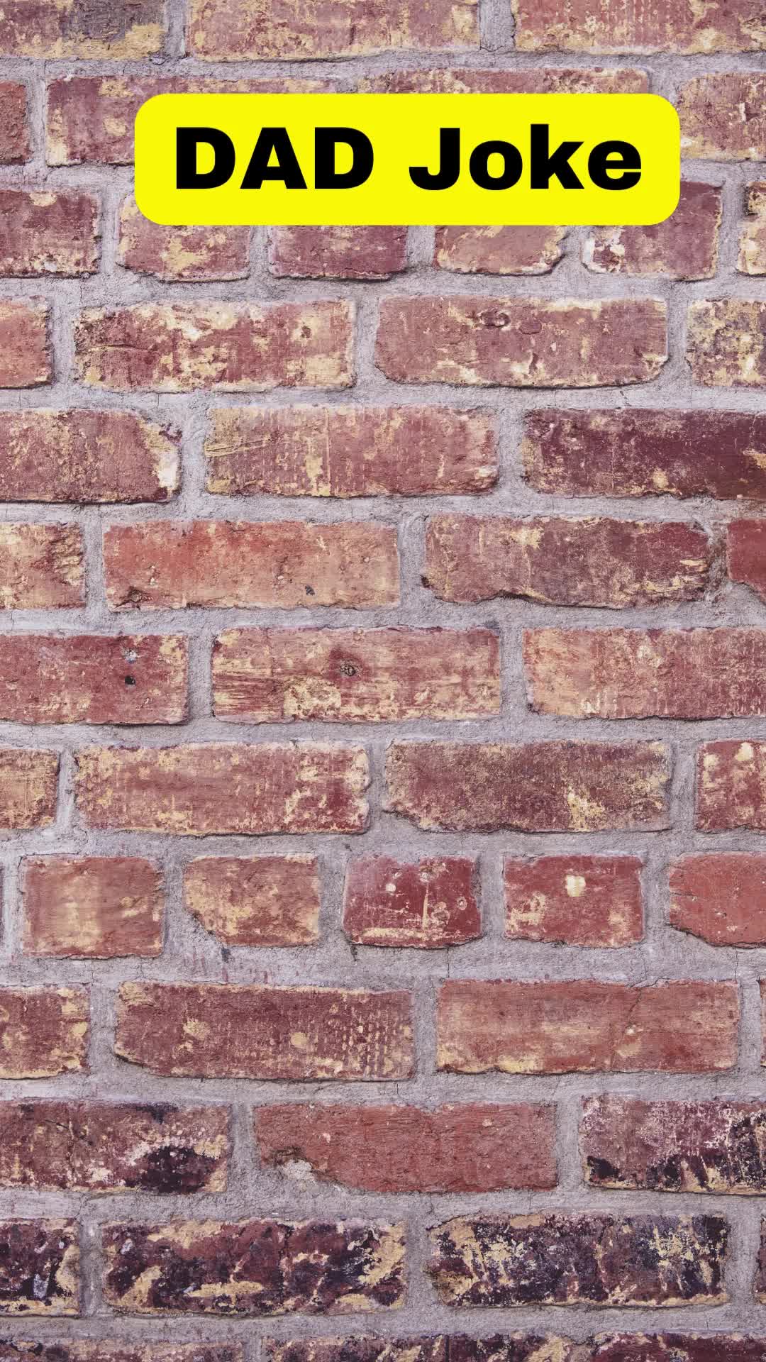 @mikesinthecan