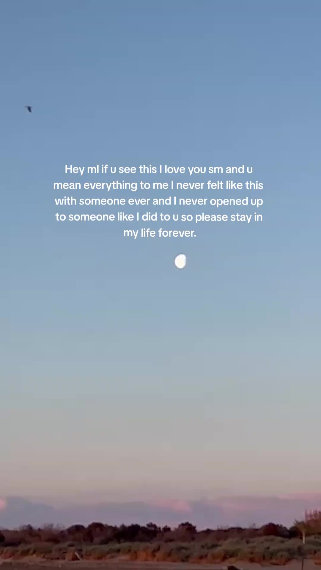@Lovers Quotes 🌹