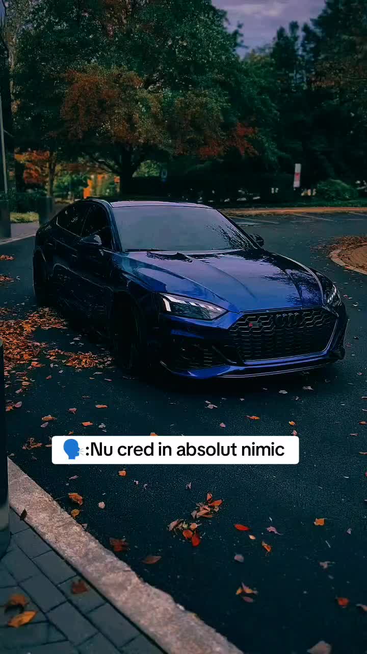 @ADNeu Official 🖤