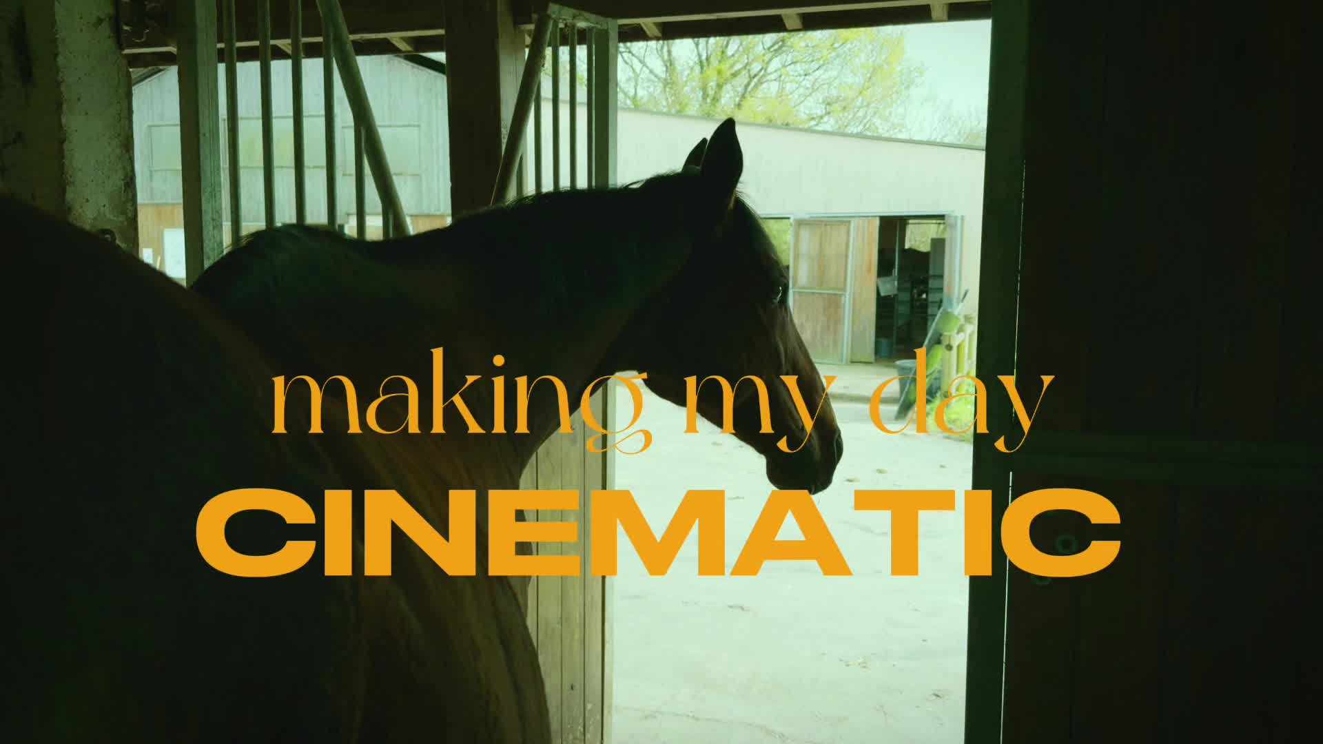 @Emma D.