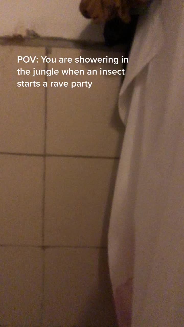 @Dane Kovacs