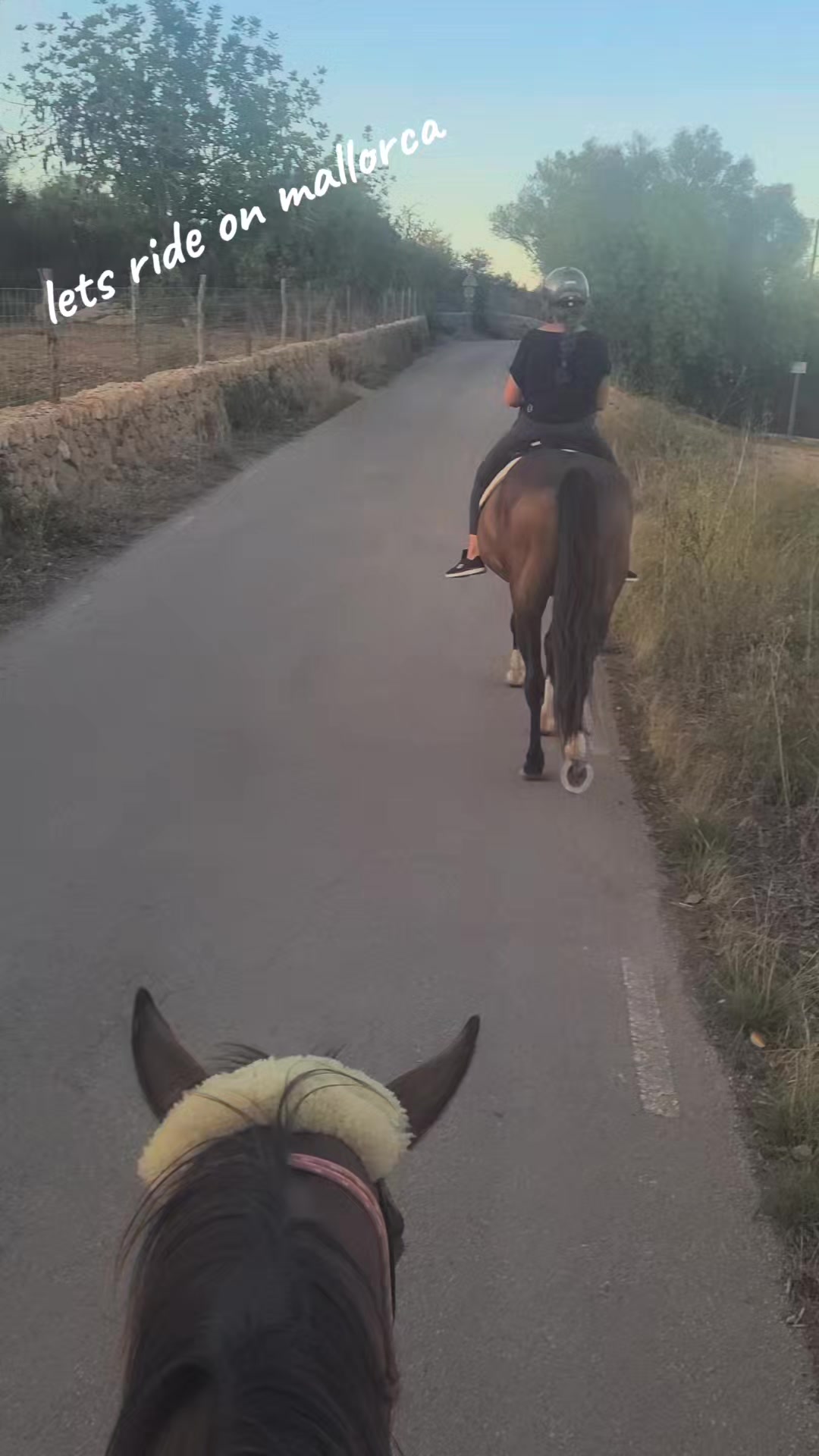 @Mallorcas pippi langstrumpf 🐴