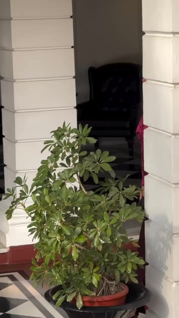 @Meerab🔥
