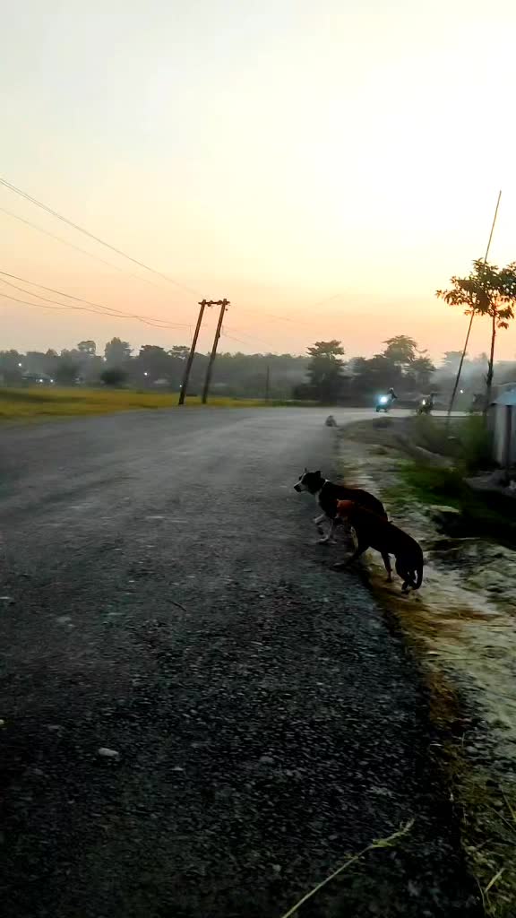 @Rider_Kaale🇳🇵