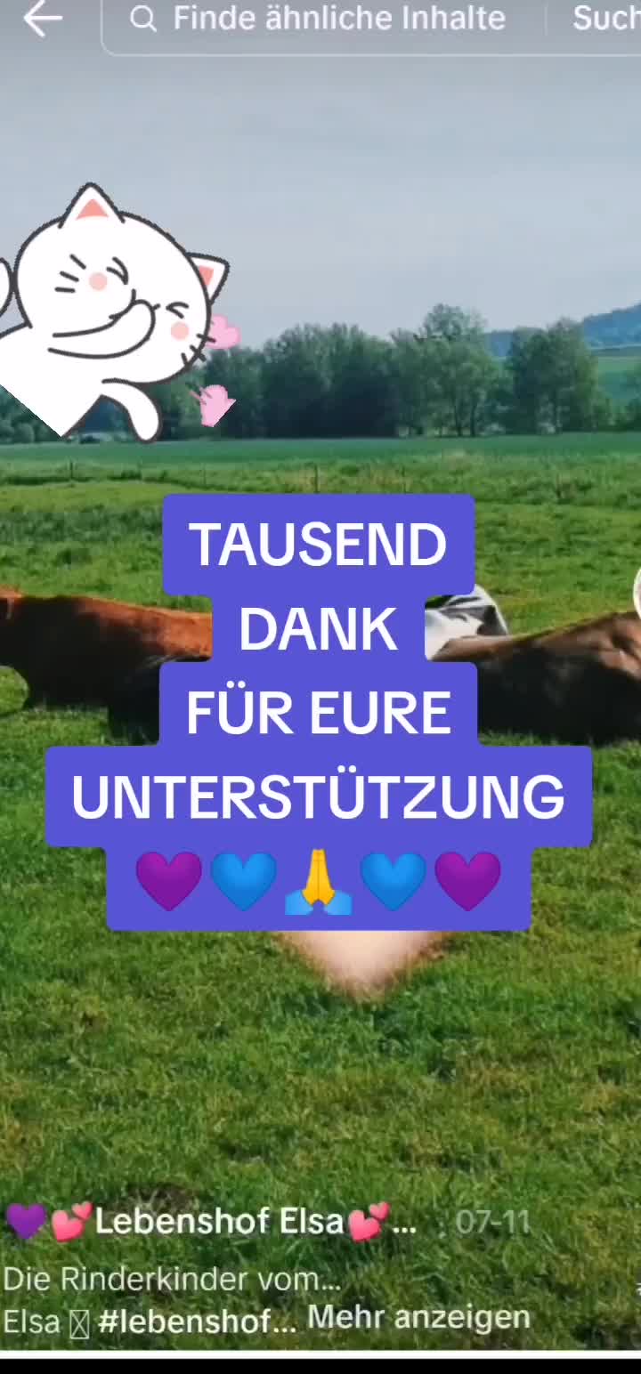 @LillyClarkson💜Autorin&Orakel